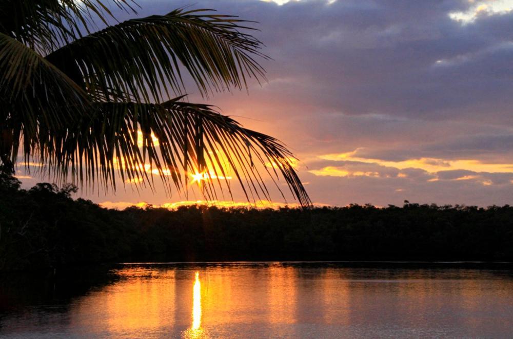 River Wilderness Waterfront Cabins Everglades City Zewnętrze zdjęcie
